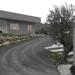 Nido Degli Ulivi Bed & Breakfast Catanzaro