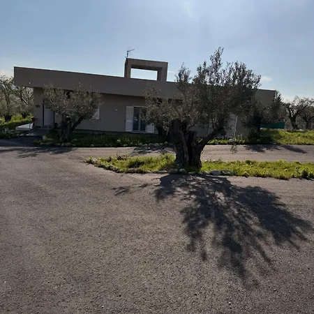 Nido Degli Ulivi B&B 카탄차로